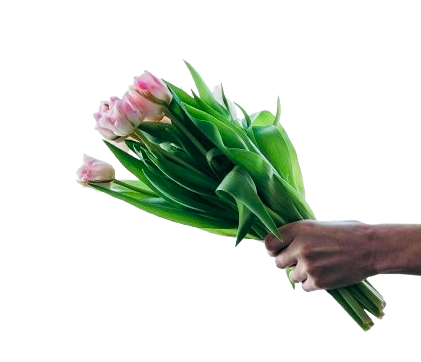 H1 freedom open landing page tech bro techbros campaigns marketing conversion agencyh1 sales strategy